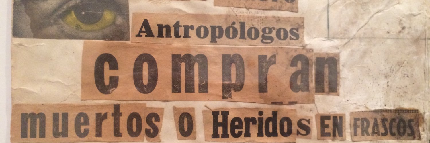 dra cardús banner