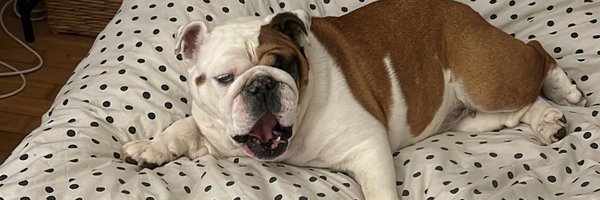 Phojo36 Profile Banner