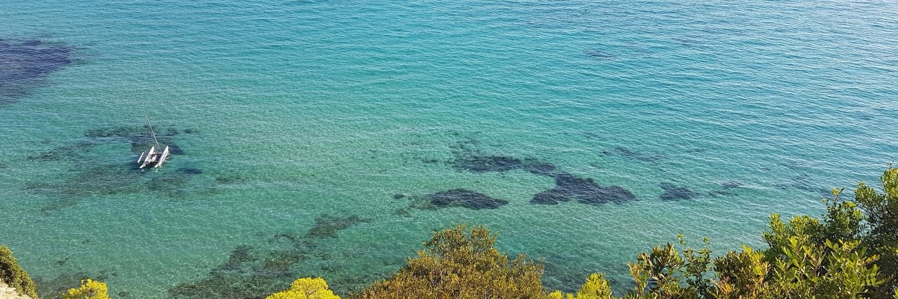 BARABEL michel banner