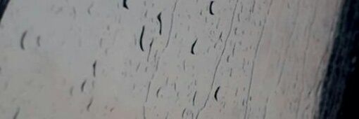 _Steeeeee's profile banner image
