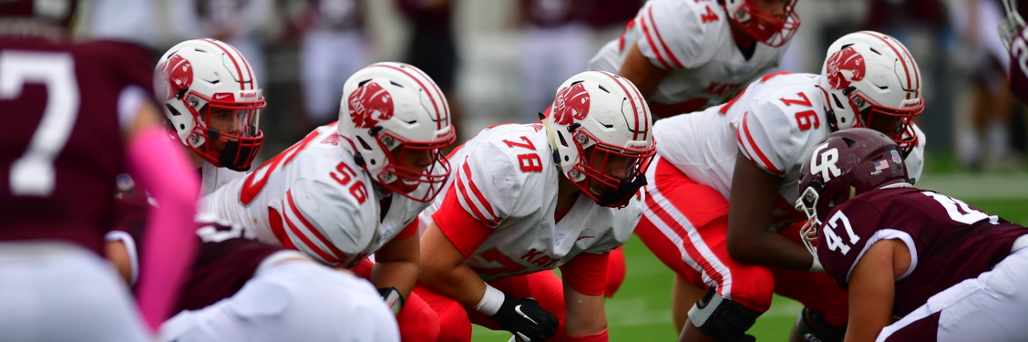 Dylan Erickson banner