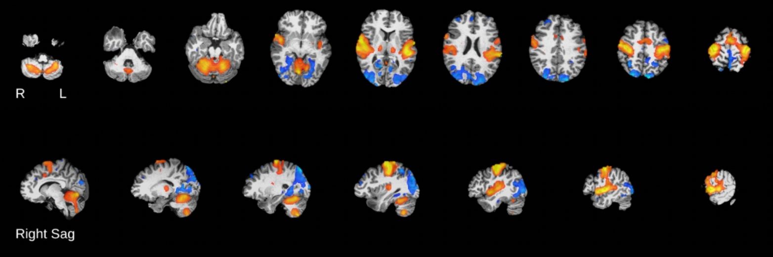 Emily McIntosh banner