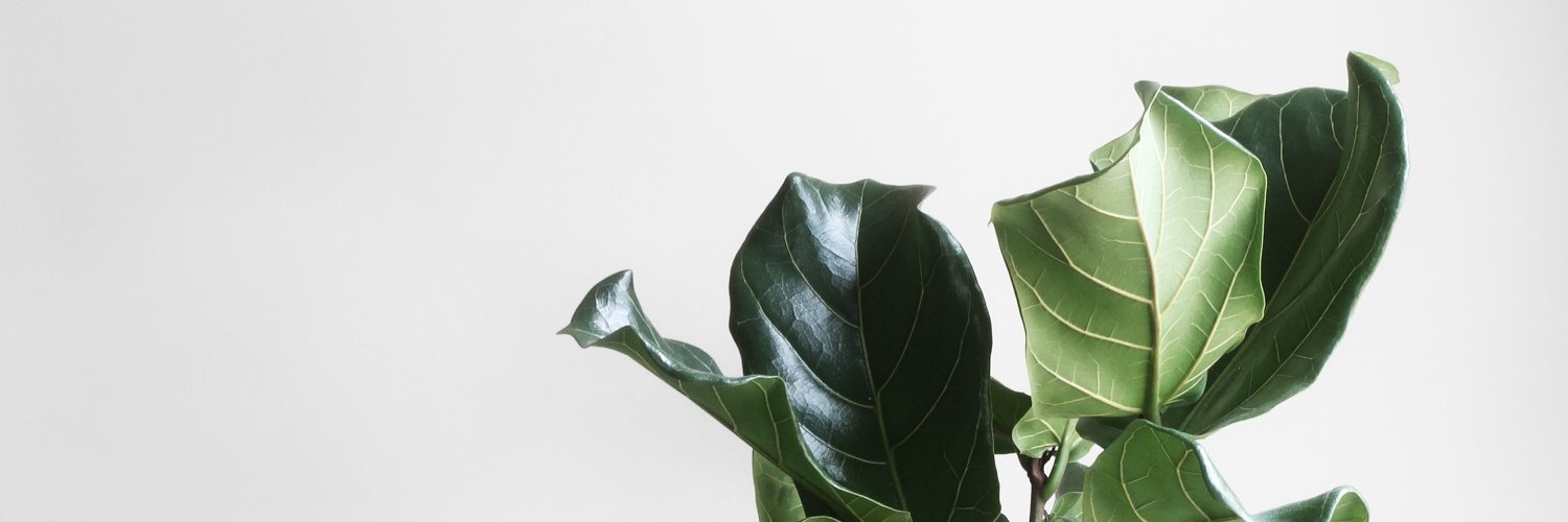 Lauriina Holmström banner