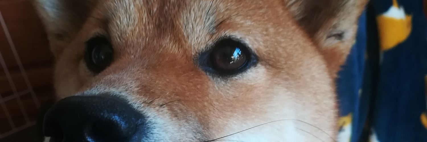 Ｈ・Ａ・Ｔ♂（ハット） banner