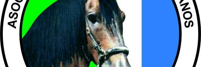 asocala pitalito banner