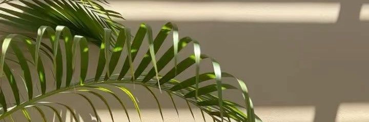 GasgogneMac's profile banner image