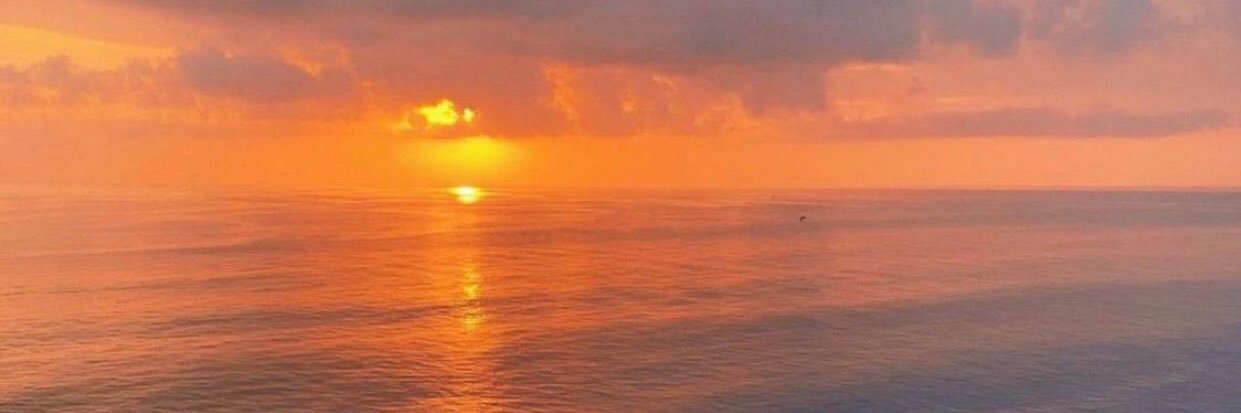 @Othy_25🐺💯 banner