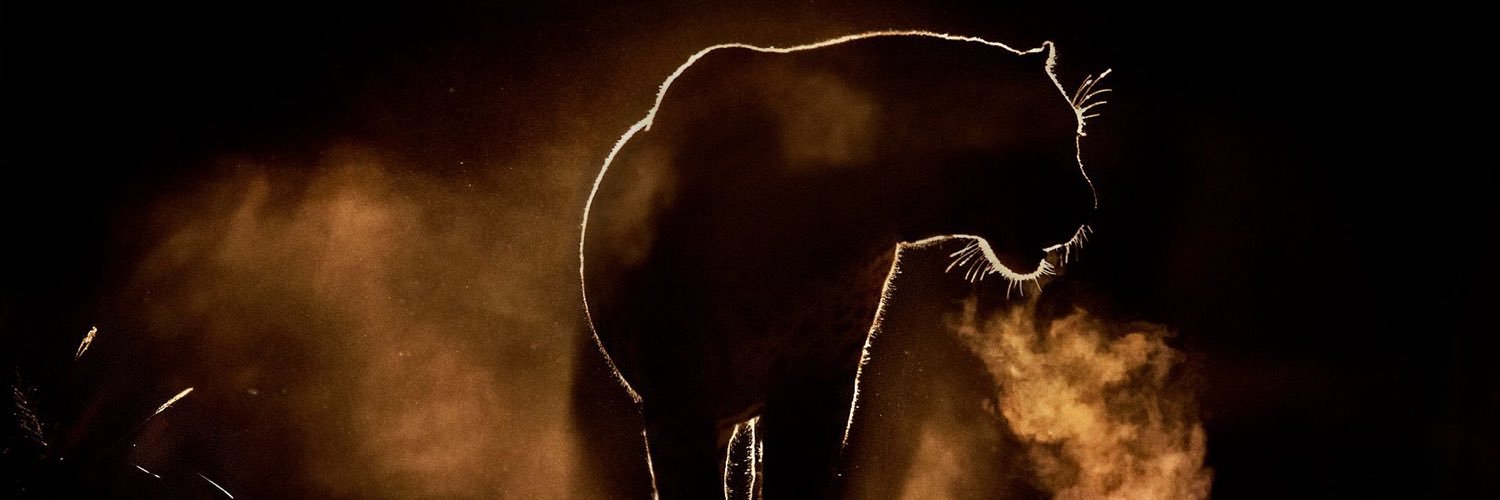 jnna8's profile banner image