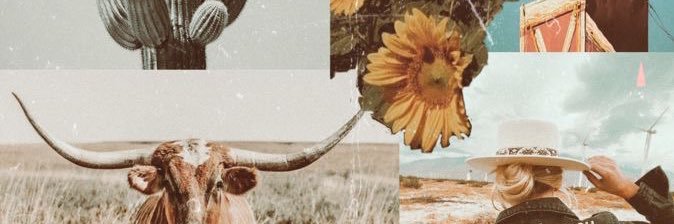 CAHARGER's profile banner image