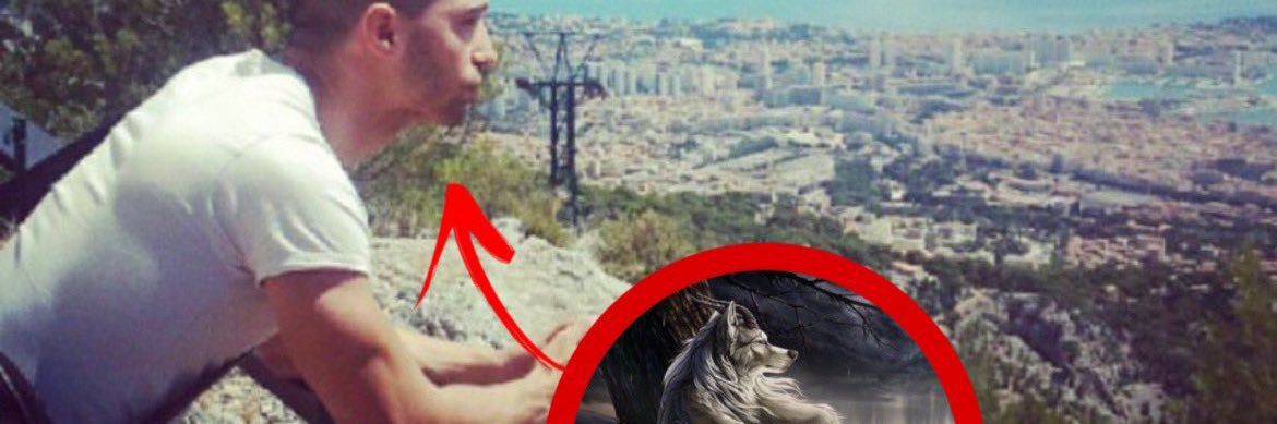 Robin 🇵🇸 banner