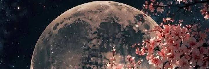 Shrouk852's profile banner image