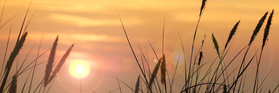 Rinta_Twin's profile banner image