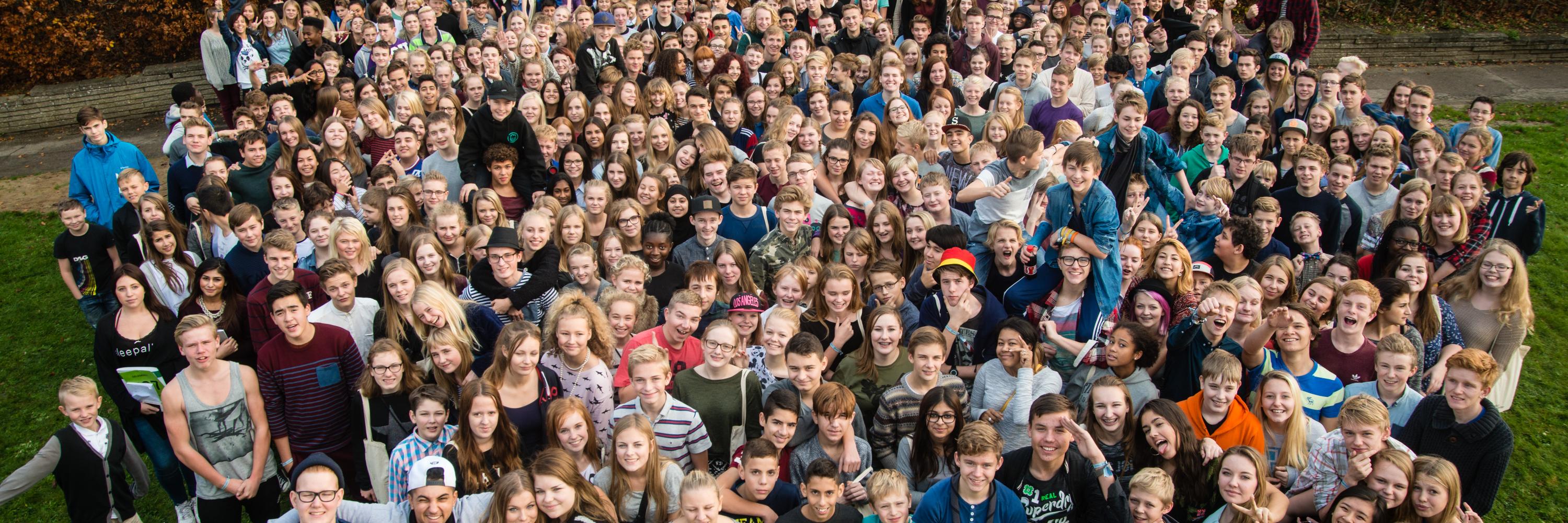 Danske Skoleelever banner