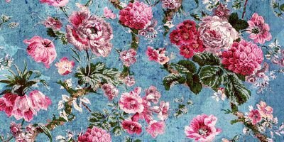 wanda_alberts's profile banner image