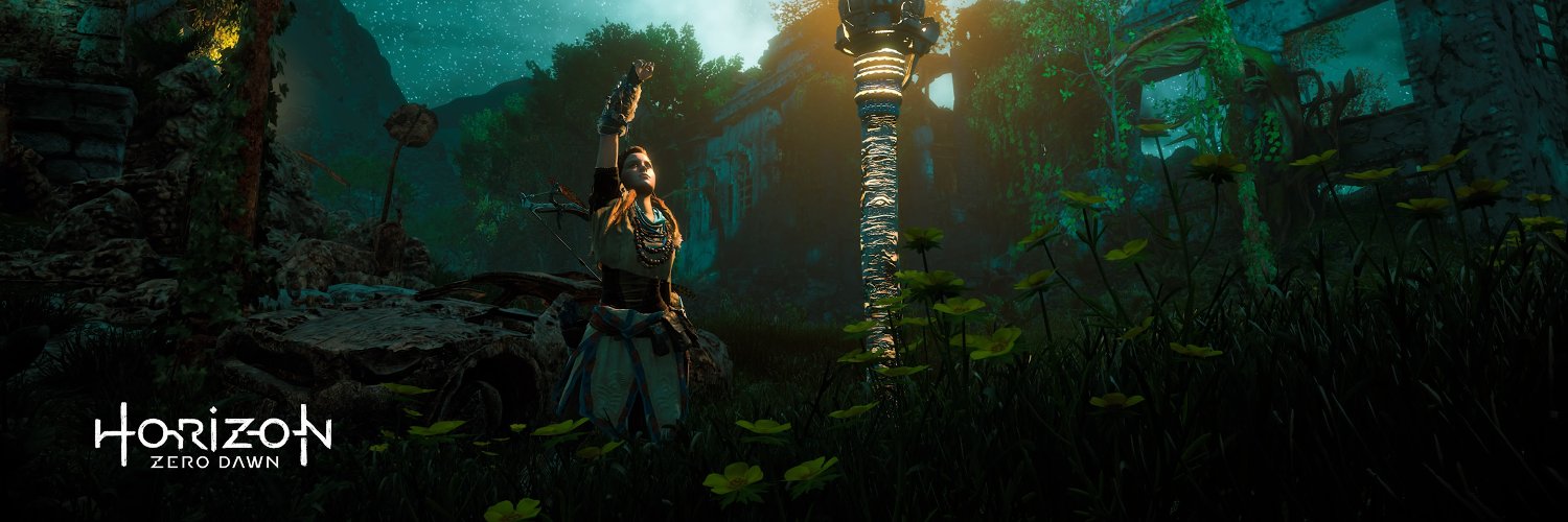 pedrowilson3181's profile banner image