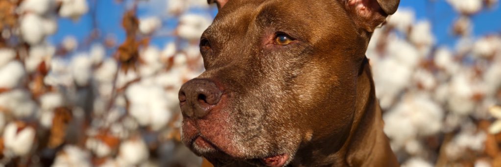 kendtum's profile banner image