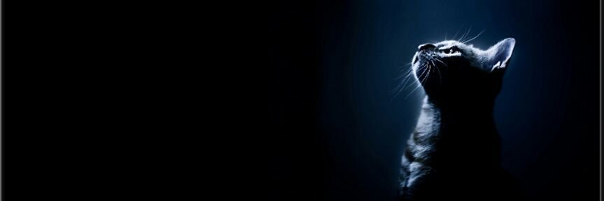 segow1's profile banner image