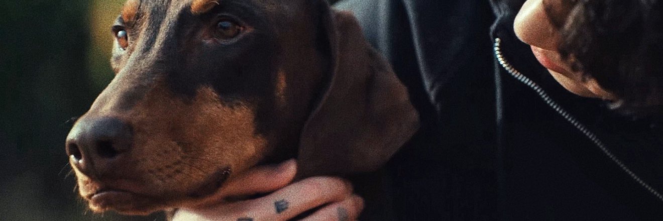 JazBonada's profile banner image