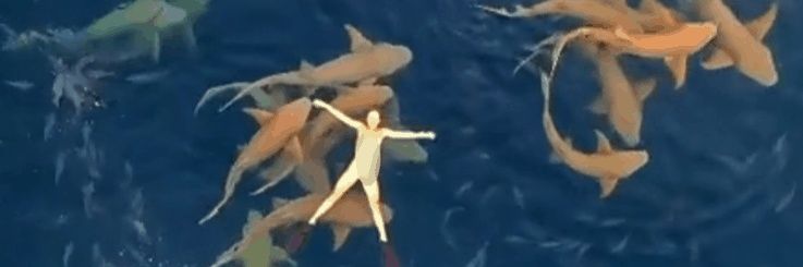 No Lives Matter Until Black Lives Matter banner