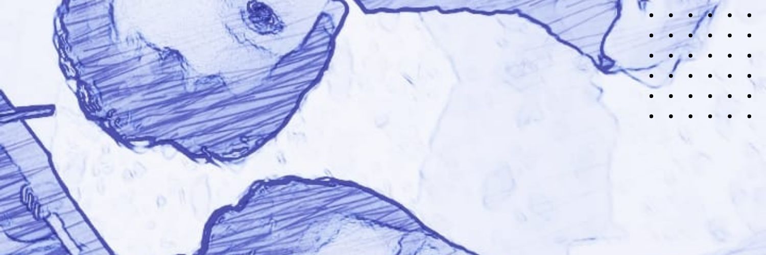uajit's profile banner image