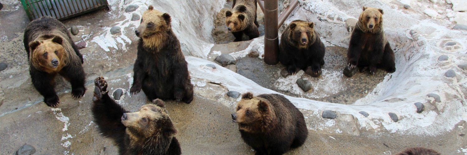 のぼりべつクマ牧場 公式's banner