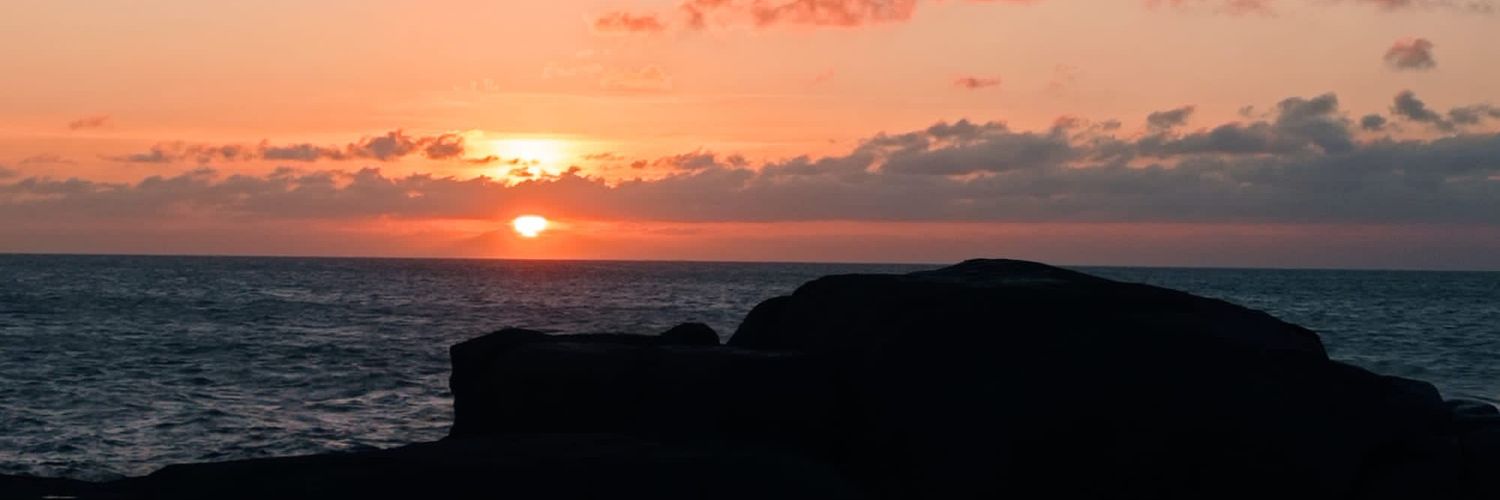 AriGoln's profile banner image