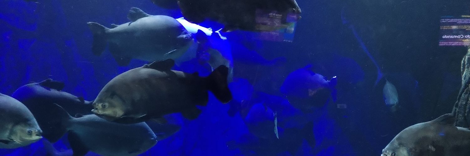 taegicris's profile banner image