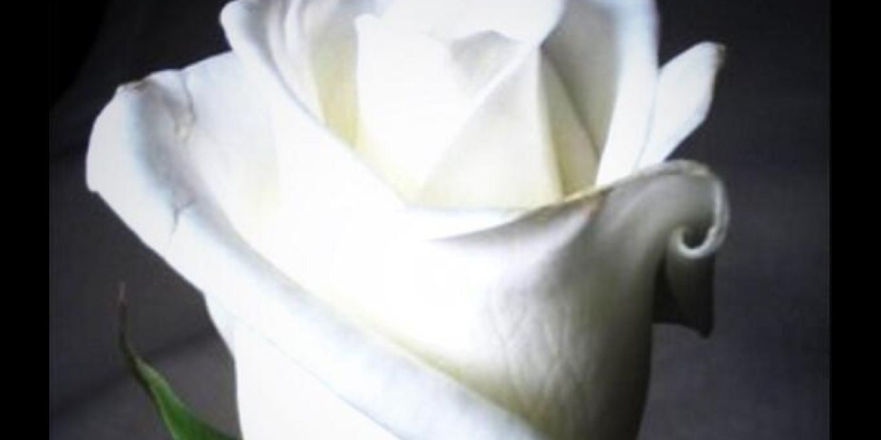 toofe1010's profile banner image