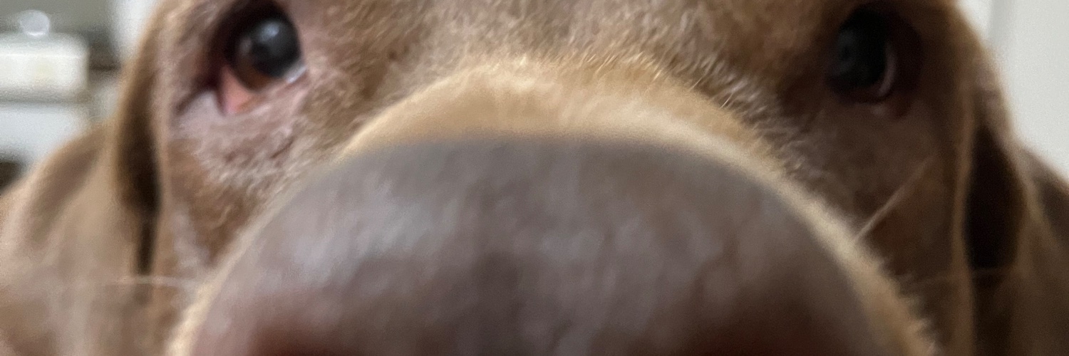 relen banner