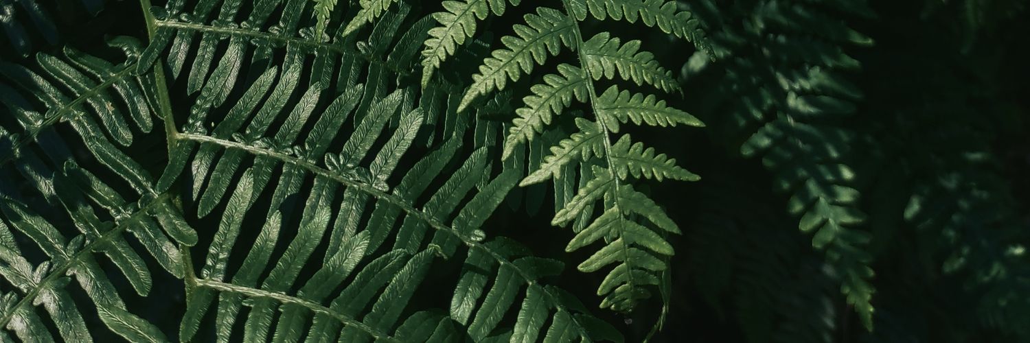 ostos_98's profile banner image