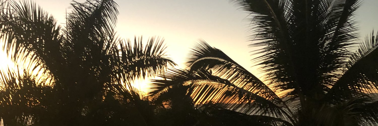 antonelladvl's profile banner image