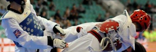 lion_tkd's profile banner image