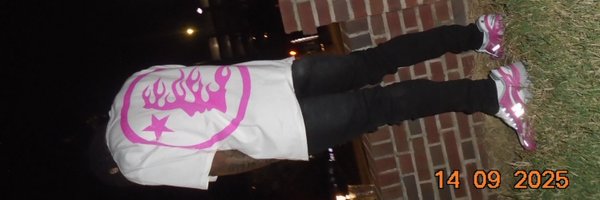 ZayySwerve Profile Banner