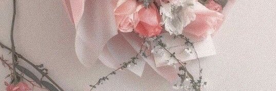 JAØ₣AN banner