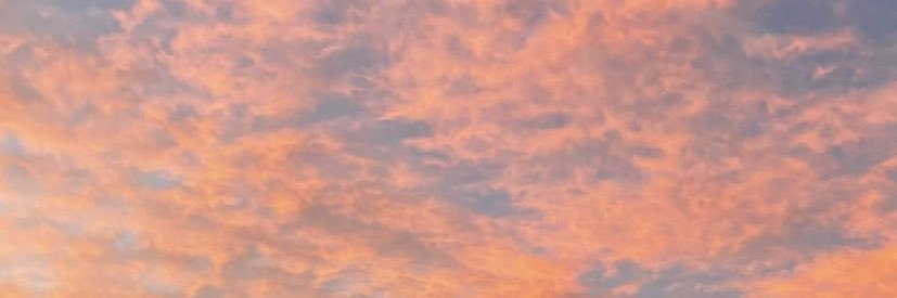 laurasiga1's profile banner image