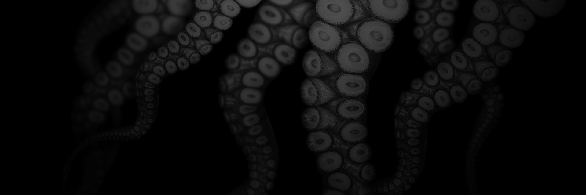 fhtagnnn's profile banner image