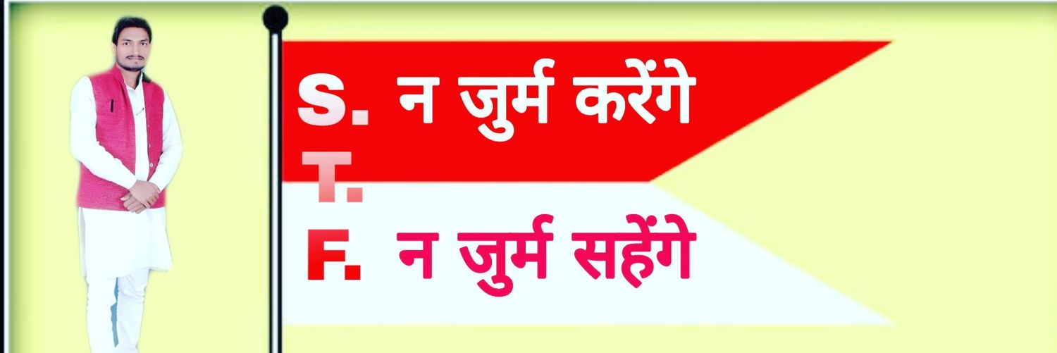 Shepherd Tiger Force India banner