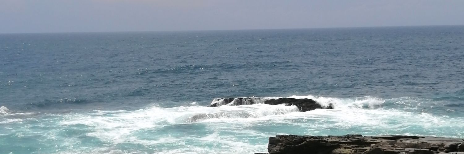 y4m4m4y's profile banner image