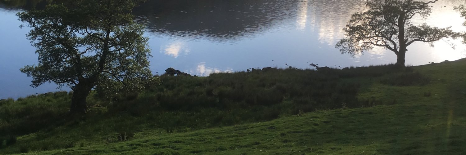 millie_bordert's profile banner image