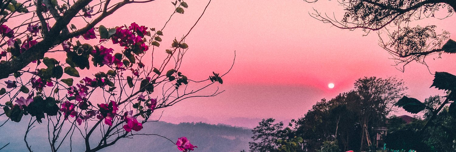 danniew9's profile banner image