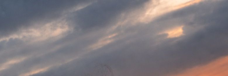 oznurtm's profile banner image