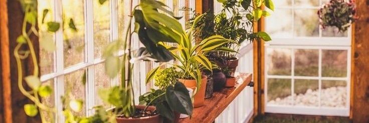 LianaJize's profile banner image