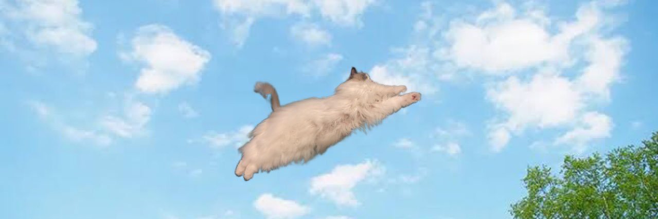 P(さとうひろやす)/Pfes banner