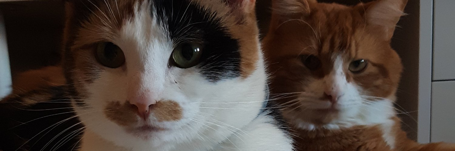 cuppycake413's profile banner image