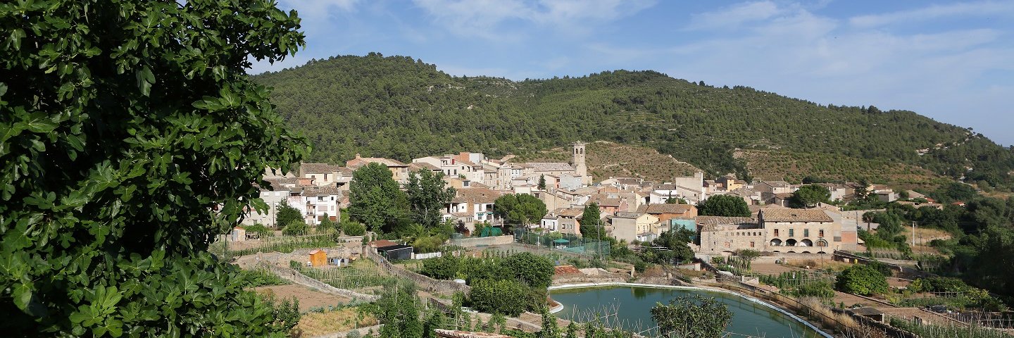 Ajuntament de Copons banner