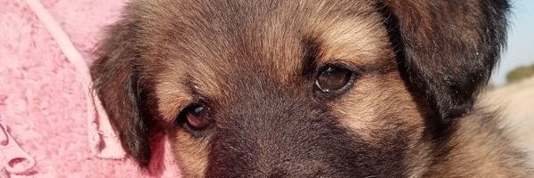 l__n_Al Profile Banner