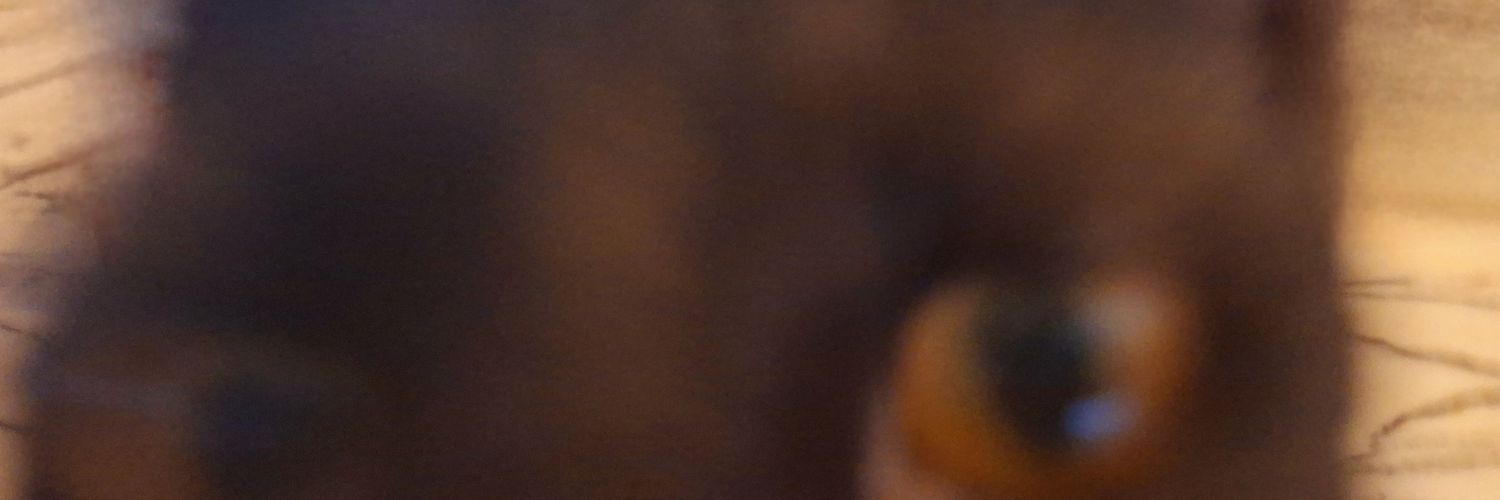 ardicbenimevim's profile banner image