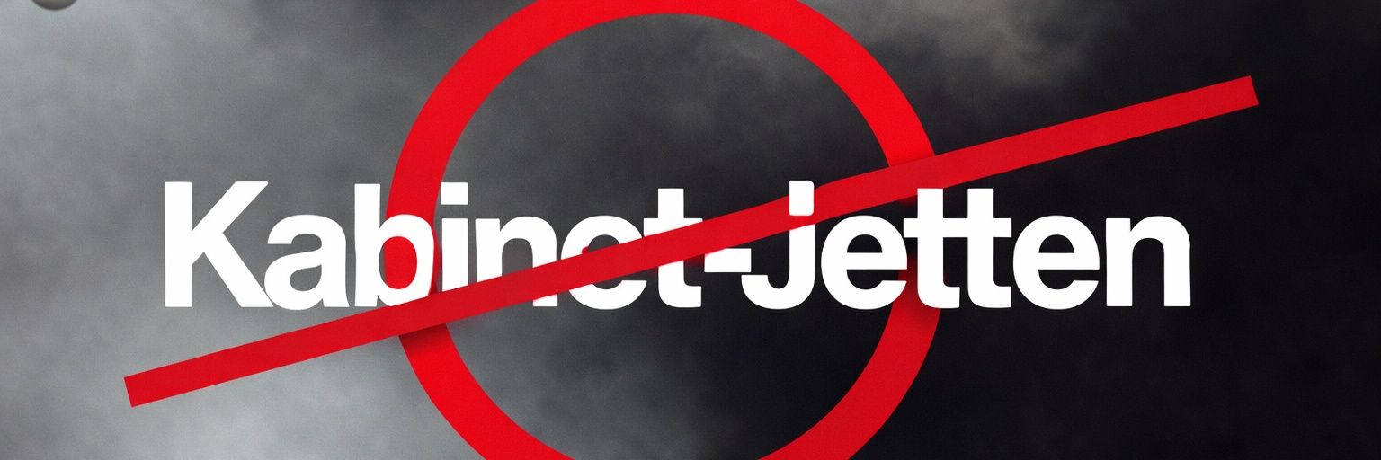 Pi Whale Michael banner