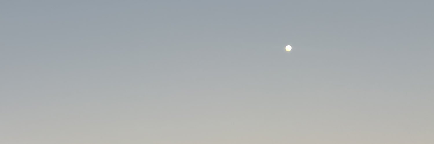diannapyz's profile banner image