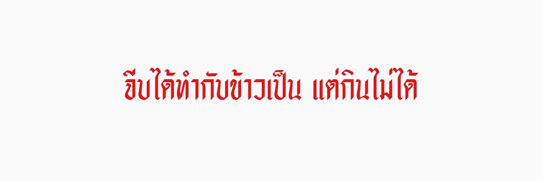 พี่สอง banner